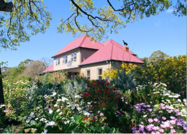 Redcliffe House Colonial Bed & Breakfast Свонсі Екстер'єр фото